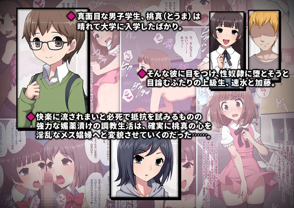 メス堕ち大学〜淫乱女装奴●に堕とされた優等生の末路〜 サンプル画像 1枚目