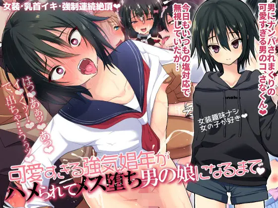 【強制から堕ちる】可愛すぎる強気娼年がハメられてメス堕ち男の娘になるまで