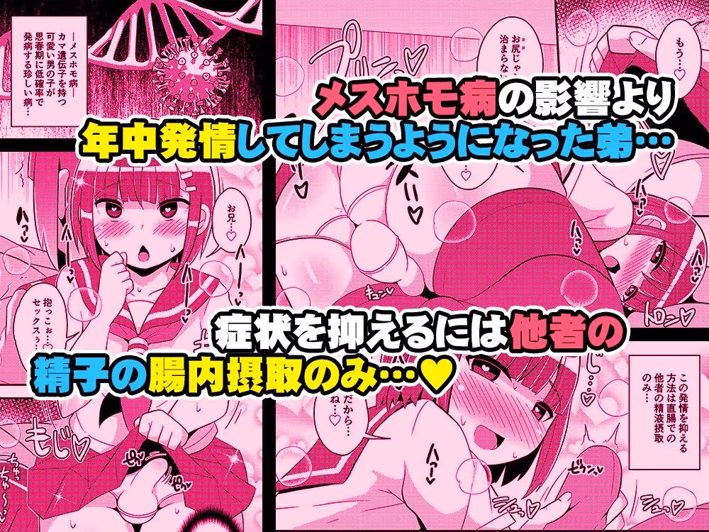 発情弟（オカマ）の性処理係 サンプル画像 1枚目