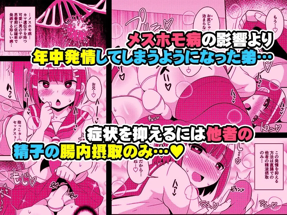 発情弟(オカマ)の性処理係 サンプル画像 1枚目