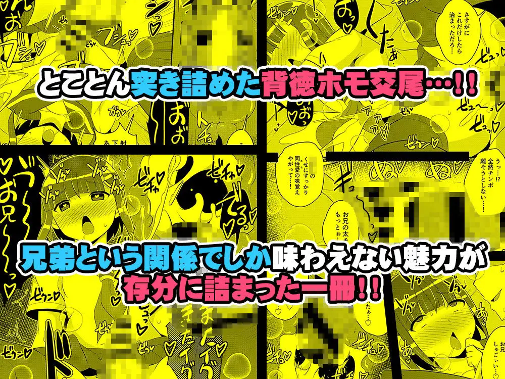 発情弟(オカマ)の性処理係 サンプル画像 6枚目