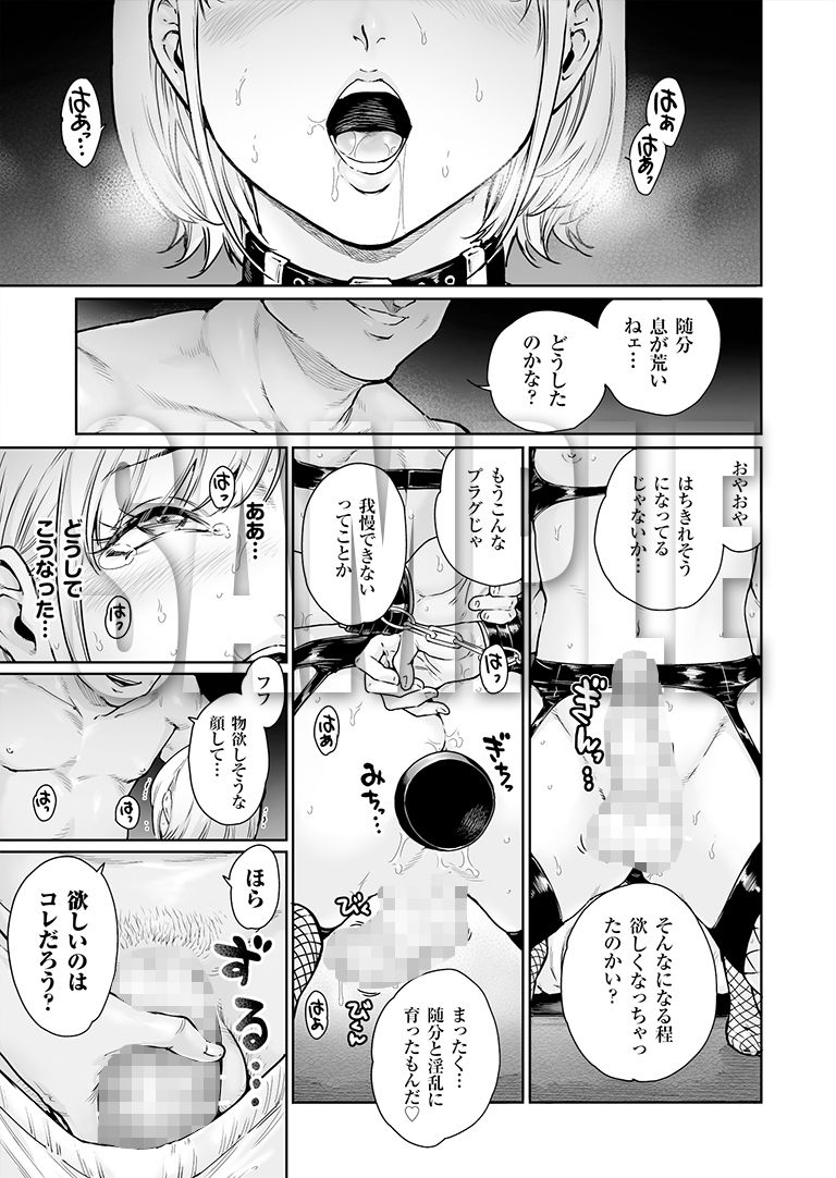 所帯庵 - ほりっく 〜オジサマの極太中毒に堕とされちゃいました (1)