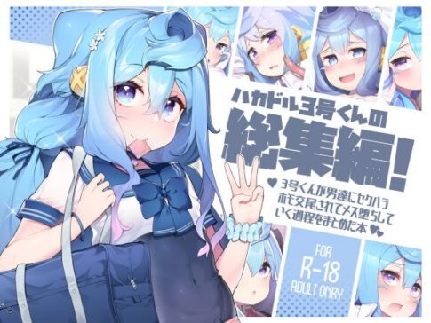 ハカドル3号くんの総集編！3号くんが男達にセクハラホモ交尾されてメス堕ちしていく過程をまとめた本 [くろぽぷら][d_286018][パッケージ画像]