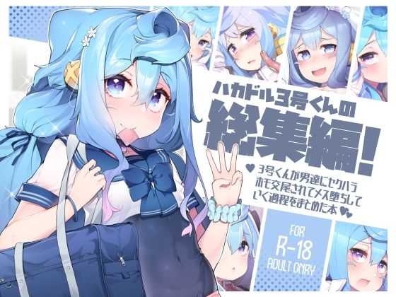 ハカドル3号くんの総集編！3号くんが男達にセクハラホモ交尾されてメス堕ちしていく過程をまとめた本 [くろぽぷら][d_286018][パッケージ画像]