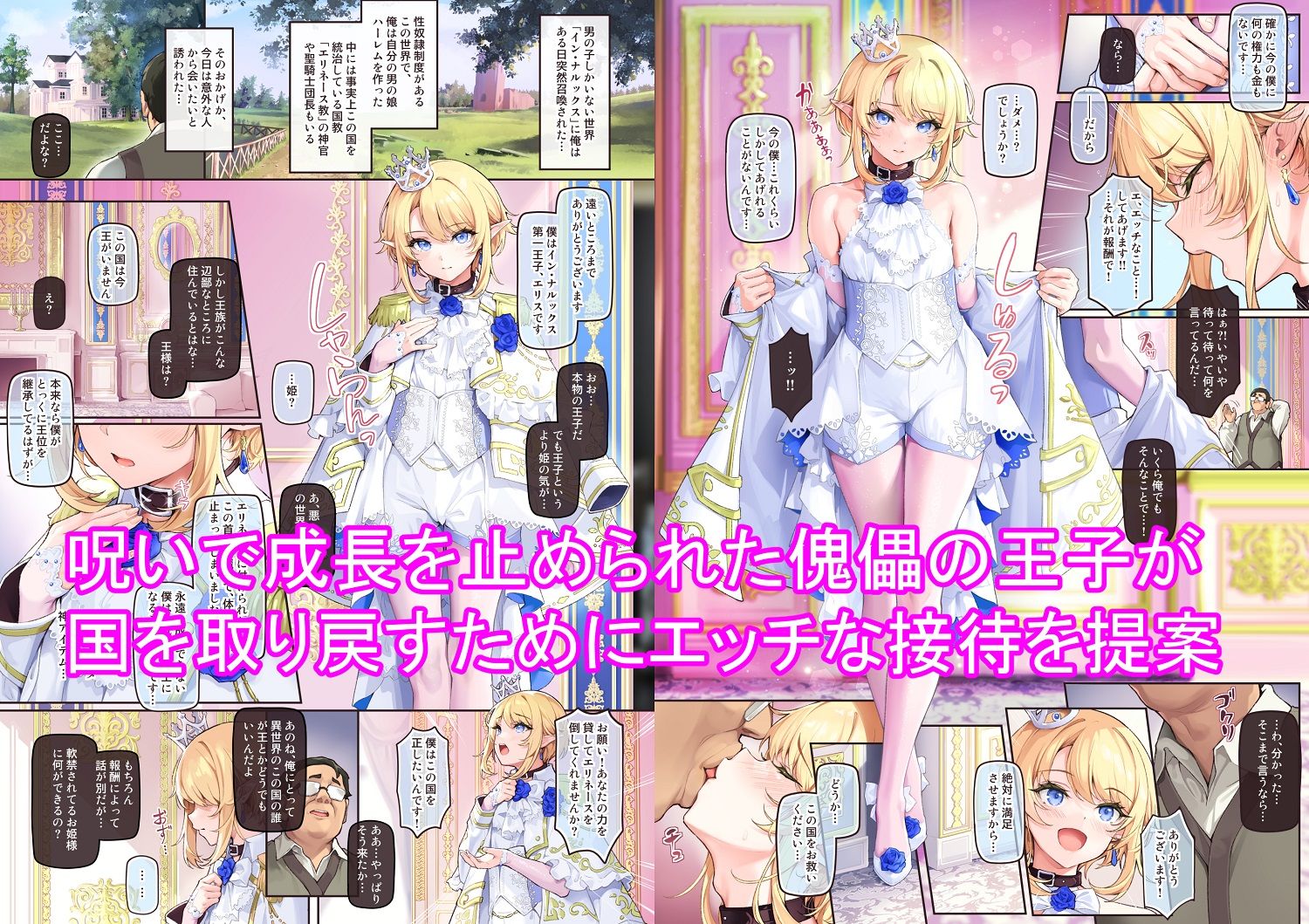 新生フロンティア(新生ロリショタ) - 異世界オトコノコ王子従順隷奴〜呪いで成長が止まった王子を弄びメス堕ちさせる〜 (1)