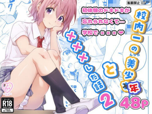 校内一の美少年と×××した話2 [StudioHALTO][d_593667][パッケージ画像]