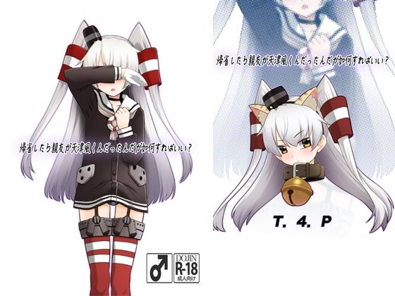 帰省したら親友が天津風くんだったんだが如何すればいい？ [T.4.P][d_668499][パッケージ画像]